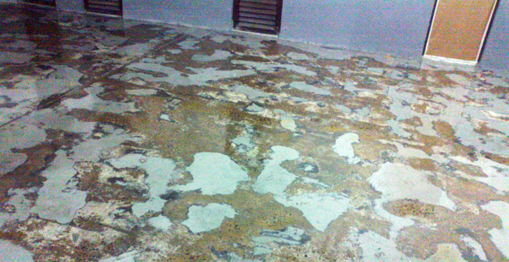 pag.11. garagem antes