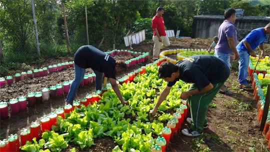 Horta coletiva em Condomínios