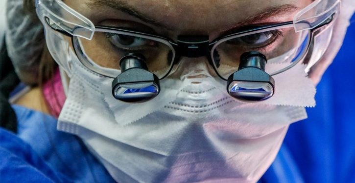 Fapesc aprova cinco projetos de pesquisa e destina R$ 500 mil a estudos sobre Covid-19 no Estado