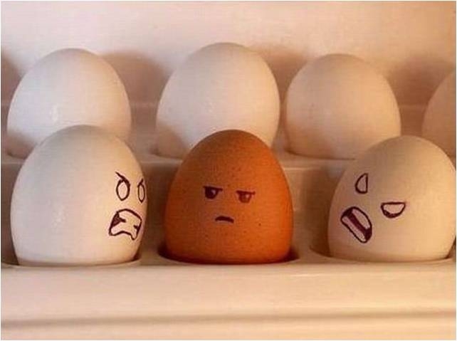 Respeito às diferenças