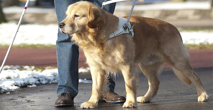 Os condomínios são regidos por regras próprias, mas estas regras, conforme alerta, não podem contrariar a Constituição Federal