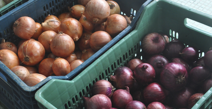 Feira de orgânicos na Fatma será quinzenal