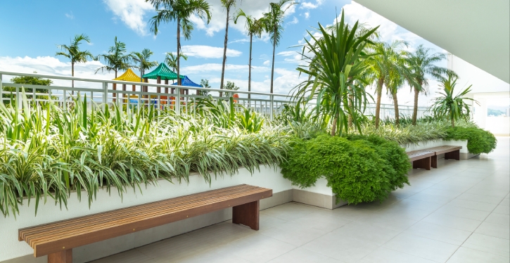 O outono traz mudanças na temperatura, na umidade e na incidência de luz natural que podem afetar o desenvolvimento das plantas - Foto: Mariana Boro 