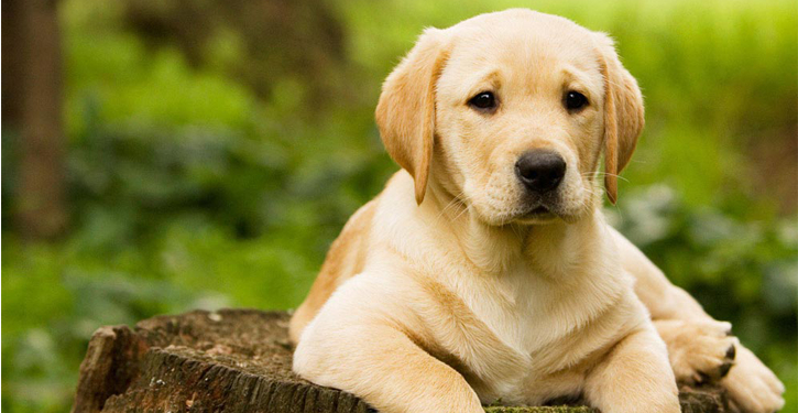 O POOBLICÃO mídia ambiental nos condomínios