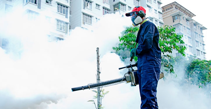 A empresa contratada deve apresentar alvará emitido pela Vigilância Sanitária