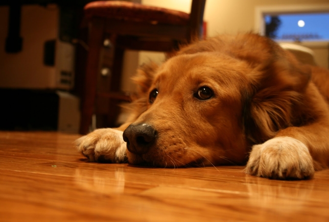 5 Piores problemas com vizinhos no condomínio: Como resolver?