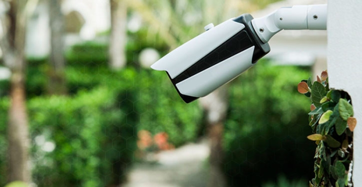 Paisagismo aliado à segurança e ao bem-estar