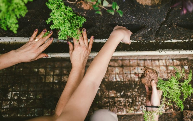Movimento 90° aumenta as áreas verdes com jardins verticais
