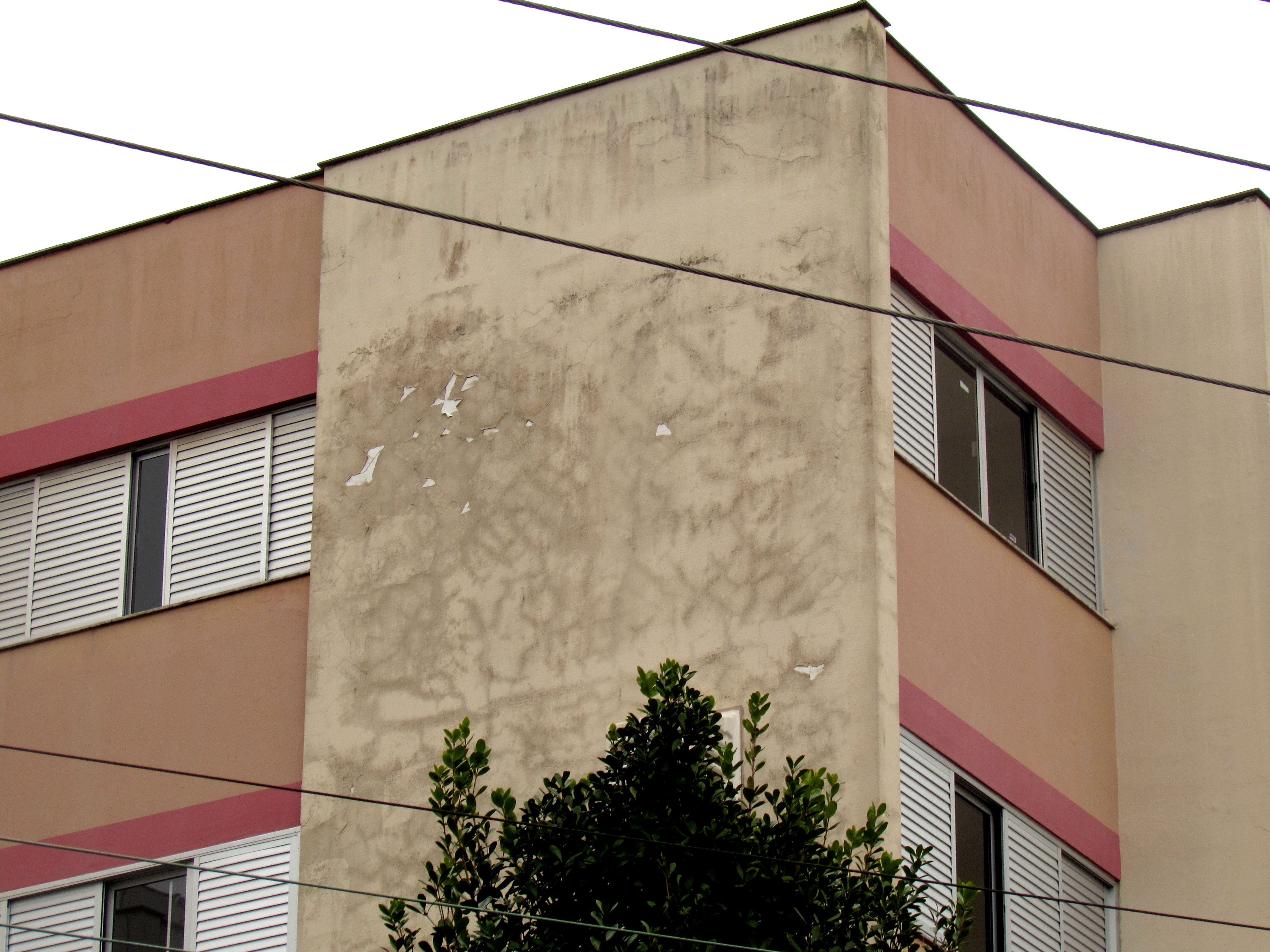 Entre as principais patologias causadas pela umidade estão as manchas, formação de bolor e o aparecimento de fissuras e trincas. 