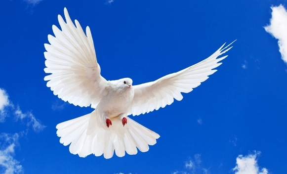 Nota de falecimento: o síndico deve divulgar?