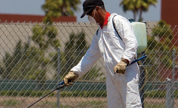 Controle de pragas requer cautela